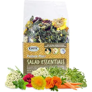 Pasture Plus+ Salad Essentials - Healthy Natural High-Fiber Dried Flower & Herb Treat - Squirrels, Guinea Pigs, Rabbits, Chinchillas, Prairie Dogs, Degus, Hamsters, Gerbils & Other Small Pets