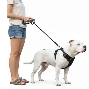 Adjustable Dog Harness Reflective Pet Harness for Small Medium Large Dogs Cats Breathable Soft Oxford Fabric Anti-Pull Outdoor Leash Safety Buckle Walking Harness with Dog Leash