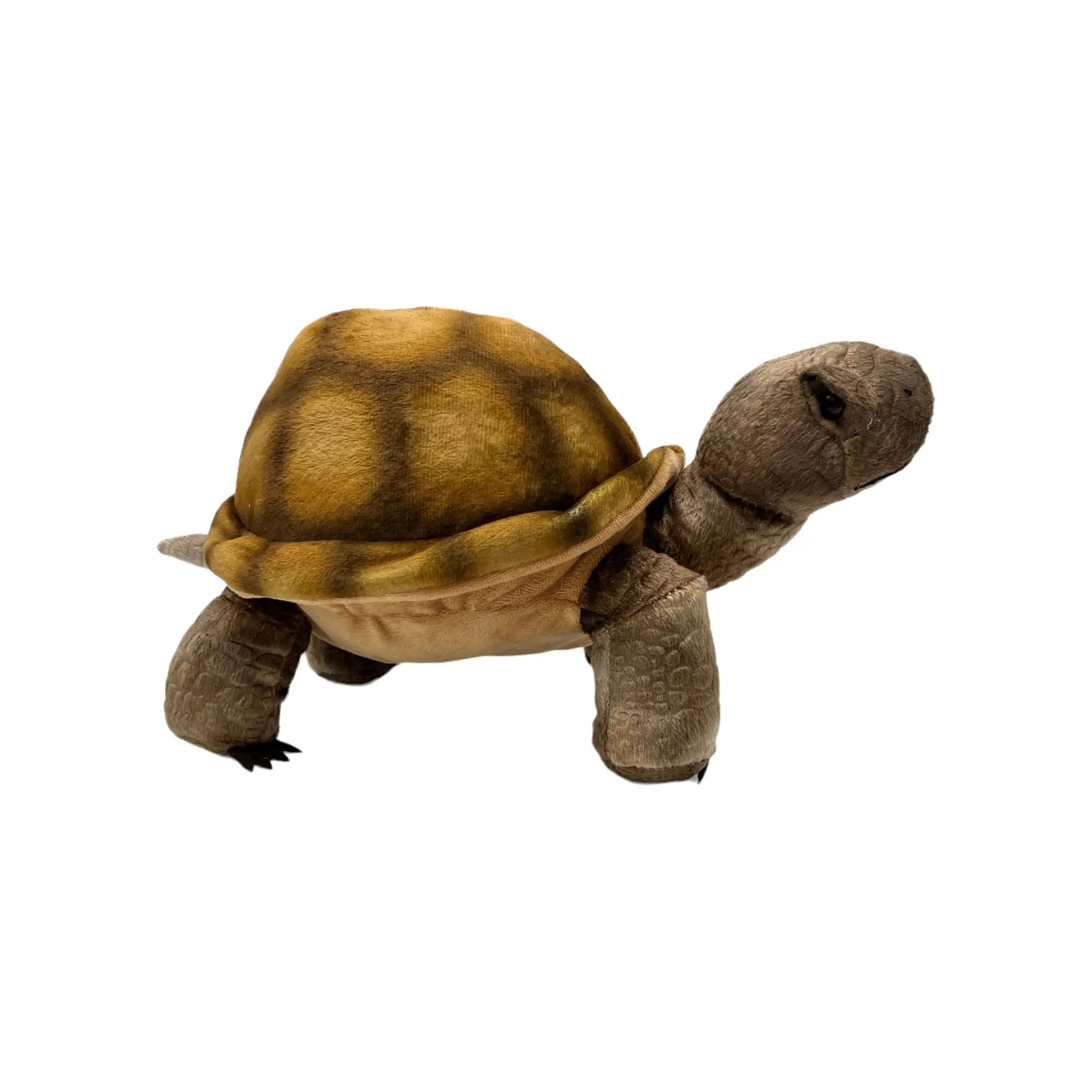 Desert Tortoise Plush - Realistic Reptile Plushie