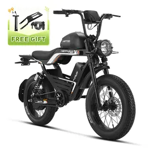 HappyRun G100 Pro 6000W Electric Bike Dual Battery