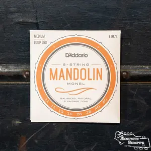 D'Addario EJM74 Monel Mandolin Strings, Medium, 11-40