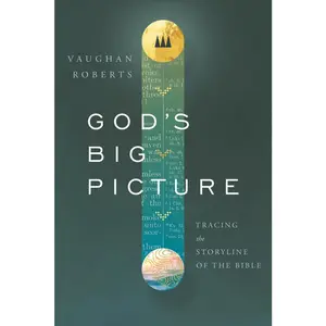 USED-God's Big Picture: Tracing the Story-Line of the Bible by Roberts, Vaughan (Paperback)