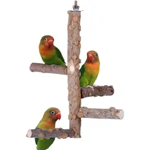 Bird Perch Nature Wood Stand for 3-4pcs Small Medium Parrots (S)