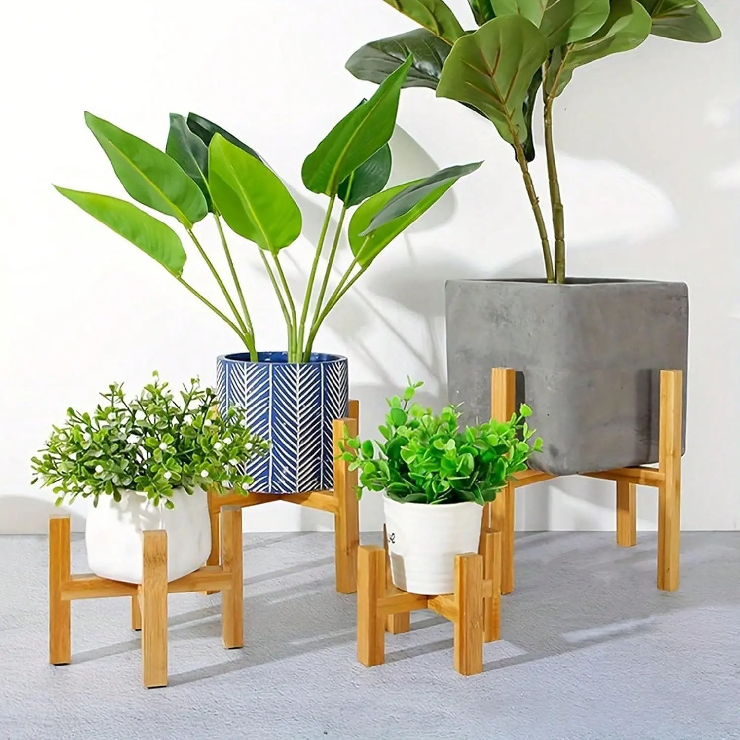 large leaf indoor plants Fiddle Leaf Fig main image 0