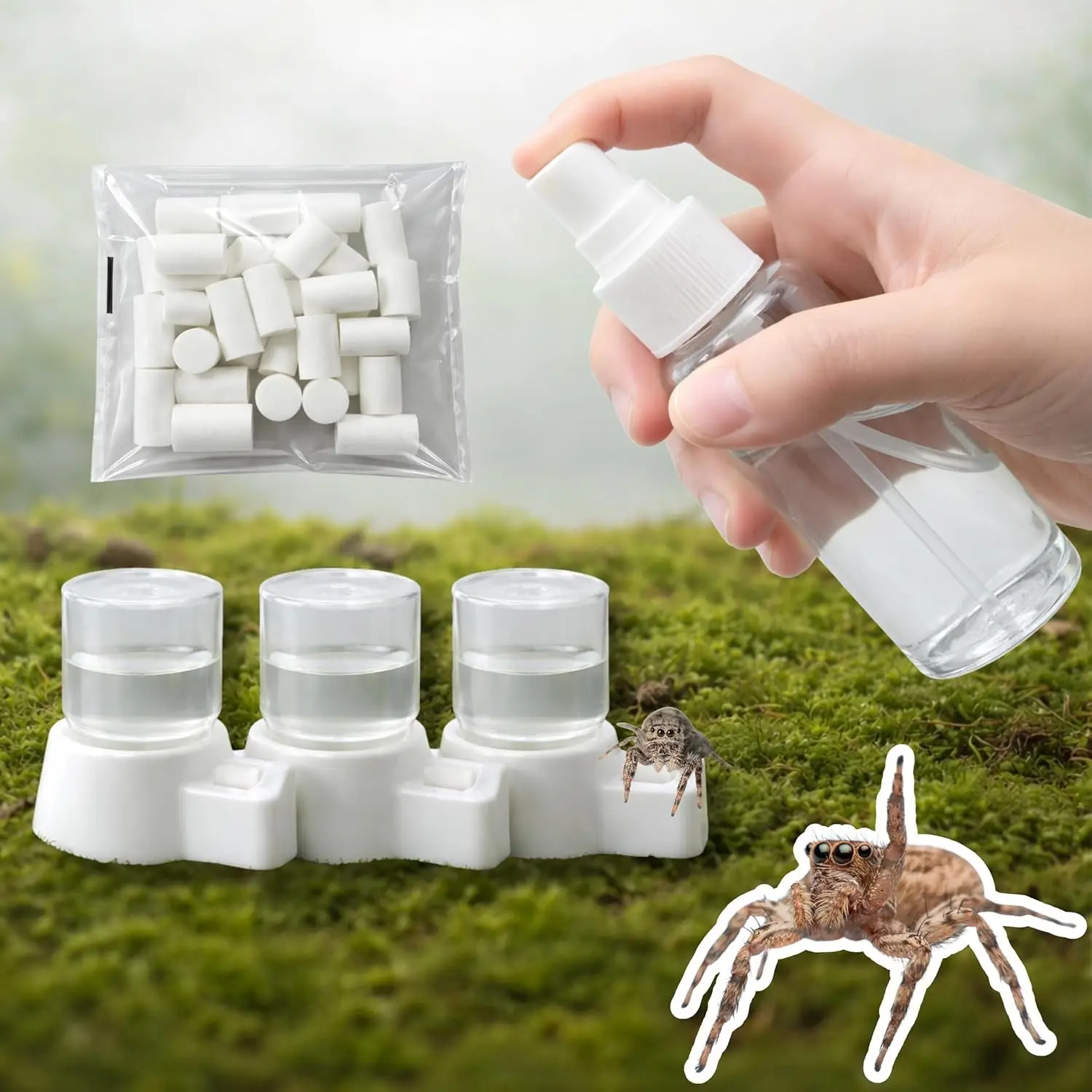 Jumping Spider Water Enclosure Accessories Kit, 3pcs Mini Water Dispenser with 30 Replace Cotton Cores Mist Bottle, Jumping Spider Habitat Decoration, Tarantula Enclosure Accessories (White, 3 PCS)