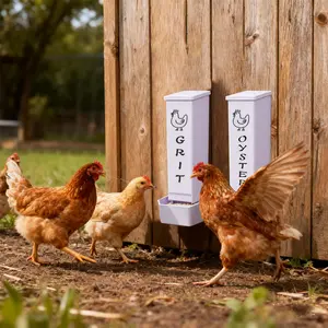 Oyster Shell Feeder with Cover, Plastic Wall-Mounted Gravity Feeder, Automatic Chicken Coop Accessory for Poultry and Eggs