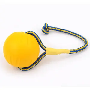 Interactive EVA Large Dog Toy Set: Durable Floating Retrieval Ring and Molar Chew Ball for Heavy Chewers