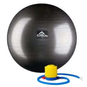 75 cm. Static Strength Exercise Stability Ball, Blue
