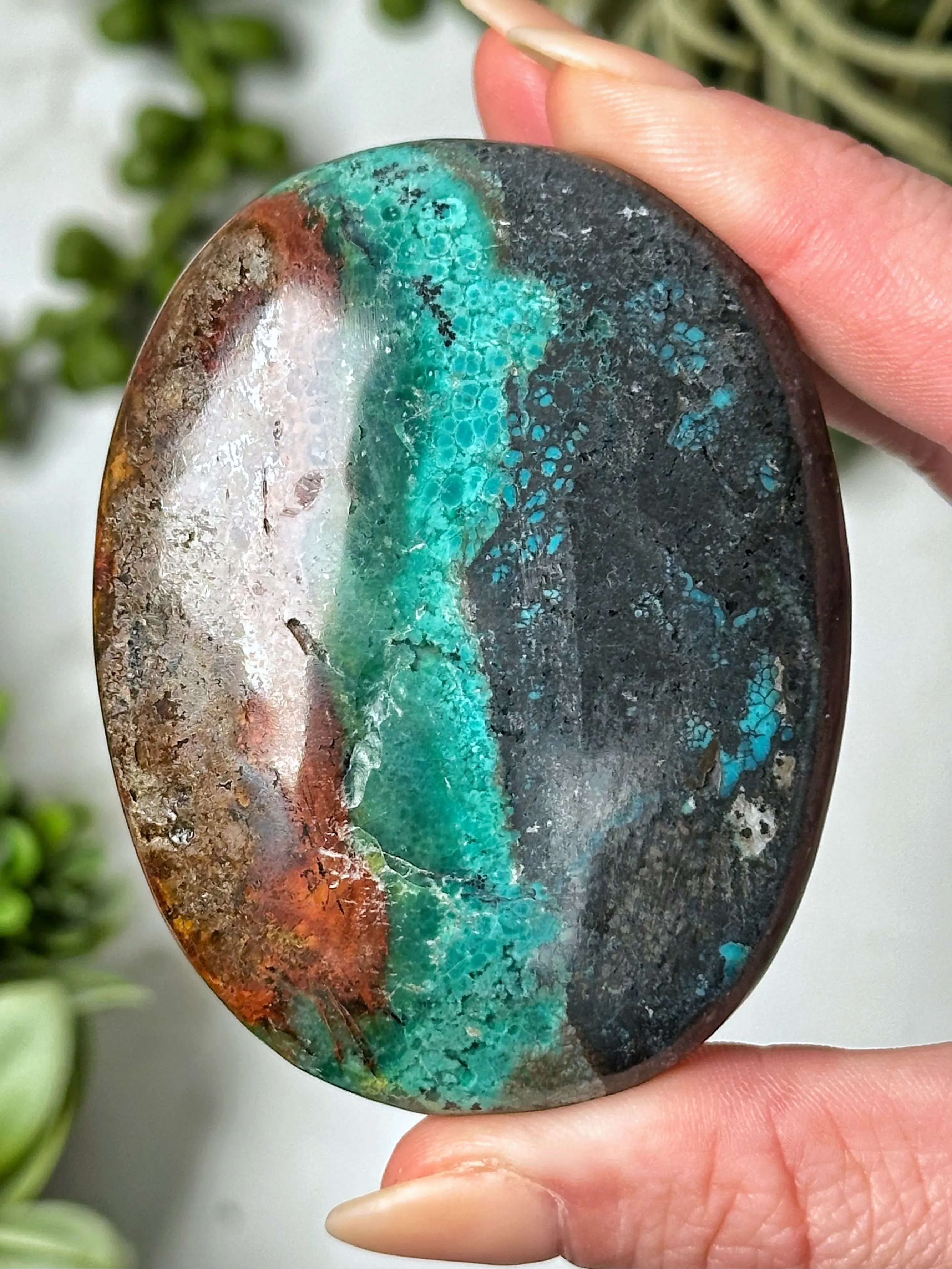 Blue Opalized Petrified Wood Palmstone - #4