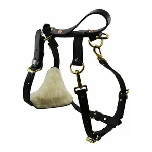 RAY ALLEN - Biothane Multifunction Harness