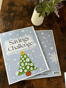 Blunt Budgeting Holiday Savings Challenge Workbook for All Occasions Low Income Saving Simple Money Easy Way Financial Planner with Freebie Bundle