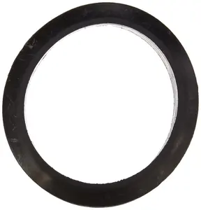 Jandy Pro Series Flange Gasket, 2"" | S0078000+