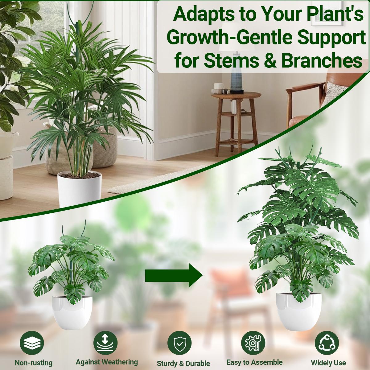 6 Pack Stackable Monstera Plant Support Stakes - Garden Trellis for Indoor & Outdoor Climbing Plants, Pothos & Philodendron