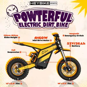 HEYBIKE-VILLAIN Electric Bike | Peak Power 4160W | 190N·m Torque | Top Speed 45 MPH | Range Up to 50 Miles | 52V 26Ah Removable Battery | All-Terrain Fat Tires | Hydraulic Suspension | IPX6 Waterproof | Magnetic Safety Cut-Off