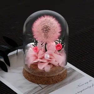2026 Best-Selling Eternal Flower Glass Dome Dandelion Mother's Day Valentine's Gift, Birthday Wedding Present for Men Women