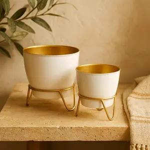 Set of 2 Metal Indoor Outdoor Planter with Removable Stand