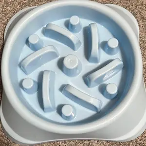 Slow eating dog bowl