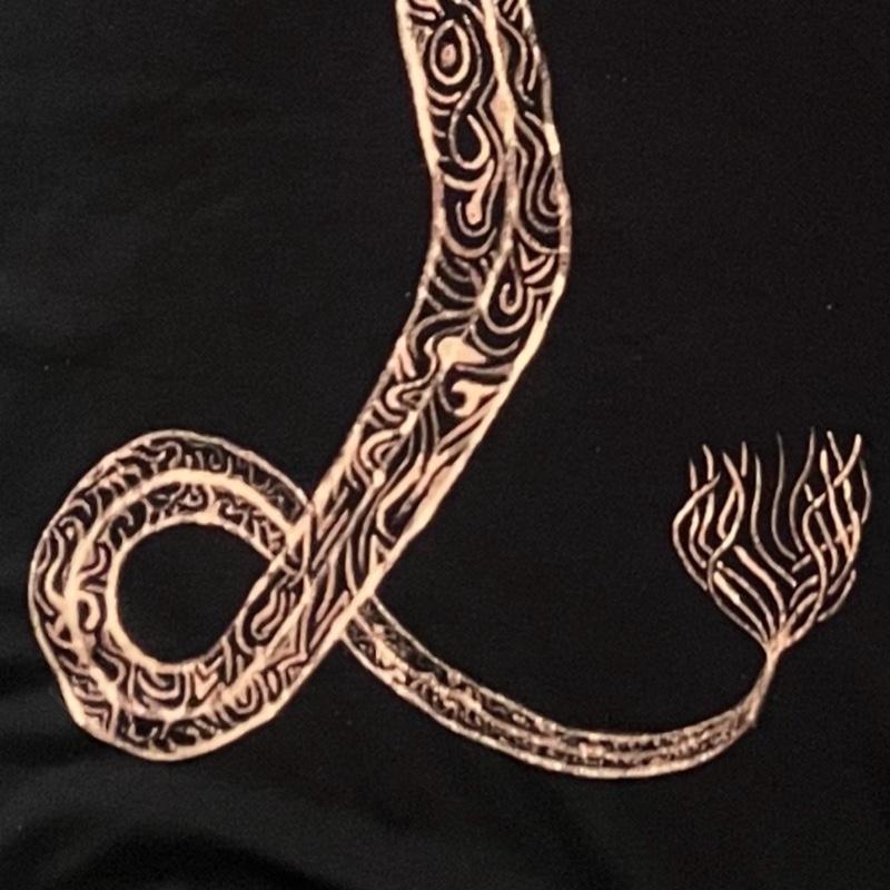 Women's  Short sleeve XL T-shirt Dress with Flying Serpent Design Hand Drawn with Bleach Artwork on Black dress with pockets