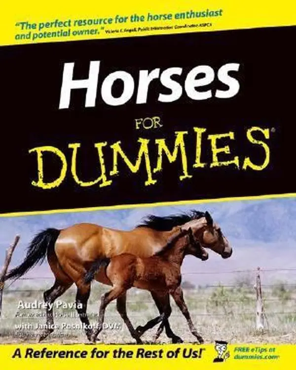 Used Paperback Book - Horses For Dummies by Audrey Pavia (English) - Includes Horse Riding, Equine Care Guidance & In-Depth Coverage
