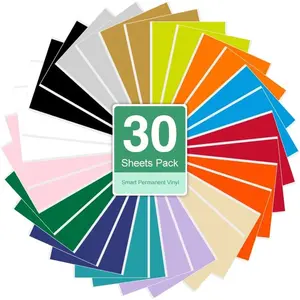 Removable Vinyl for Cricut Joy Machine, Assorted Colors Vinyl Adhesive Bundle, 30 Sheets 5.5" x 12"  Vinyl