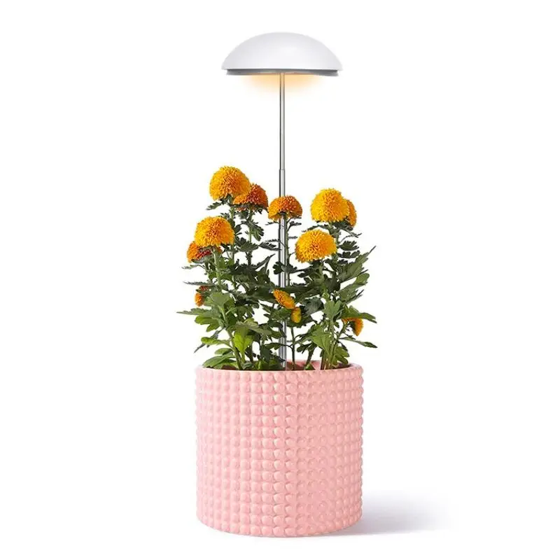 Plant Light Gardening Tools, 1 Set USB Full Spectrum LED Grow Light, 3 Timing Modes, Gardening Plant Lamp with Adjustable Brightness, Summer Decor