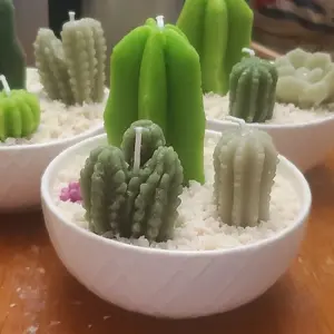 Small Cactus Garden