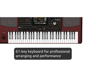 Korg Pa1000 61-Key Professional Arranger with 420 Styles 1700 Sounds & 600MB Storage for Modern Composers