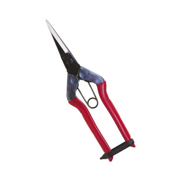Chikamasa T-550 Scissors
