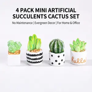 4 Pcs Mini Artificial Succulents in Resin Pots, Cactus & Succulent Set with Gravel Base, No Watering Lifelike Desktop Decor for Home Living Room Office Desk Windowsill Bookshelf, Perfect Gift for Mother's Day Wedding Party Table Centerpiece Decoration