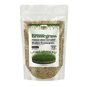 Old Cobblers Farm Wicked Tuff Turf Bromegrass - Meadow (Grasses) (5 lbs | 10 lbs | 15 lbs | 20 lbs)