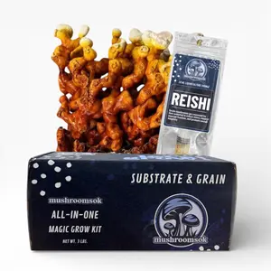 Grow at Home Reishi Medicinal Mushroom Kit