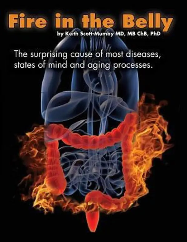 USED Book - Fire In The Belly: The Surprising Cause of Most Diseases, States Of Mind and Aging Processes by Scott-Mumby, Keith (Paperback) - english