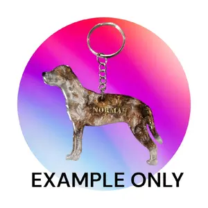 Customizable Resin Catahoula / Hunting doggo keychain/3D Magnet - All Proceeds donated to surgery !