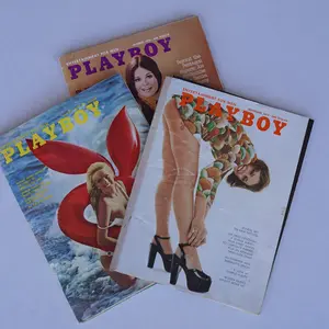 Vintage Playboy Mystery 2-Pack (1980s Edition) – Classic Collectors' Magazines