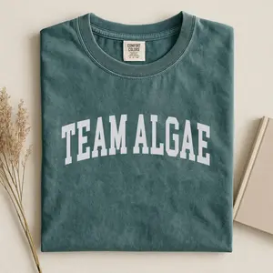 Comfort Colors Team Algae Reflecting Pool Shirt, Anti Trumpp 8647 Merch Tee, Reflecting Pool Protect Graphic T Shirt, Funny Sarcastic Political Apparel , Unisex Fitted Short Sleeve Tee, Classic Streetwear