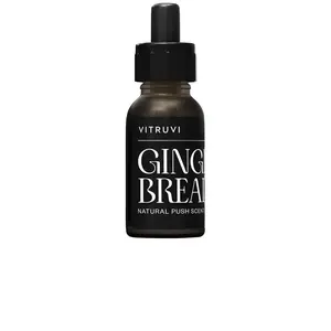 VITRUVI Gingerbread Push Plug-in Scent