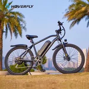 Hoverfly Ourea Commuter Electric Bike - Compact Design, Lightweight Construction, Suitable for Commuting and Daily Use