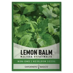 Lemon Balm Seeds