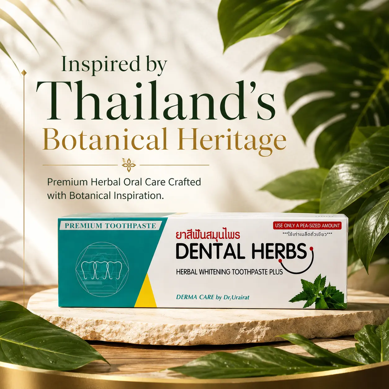 Dental Herbs Herbal Toothpaste | Inspired by Thailand's Botanical Heritage | Premium Daily Oral Care