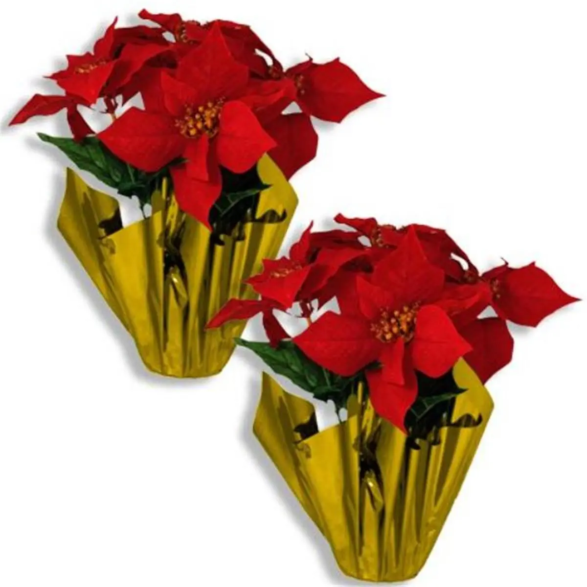 212 MAIN 12 in. Artificial Poinsettia Decorative Plants, 2-Piece Pack, 5 lbs., Cream Gold Foil Pots, Floral Arrangement Centerpiece for Home Table Decor