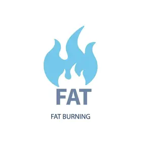 Fat Burn Guide PDF