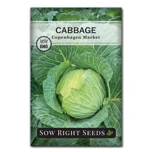 Copenhagen Market Cabbage