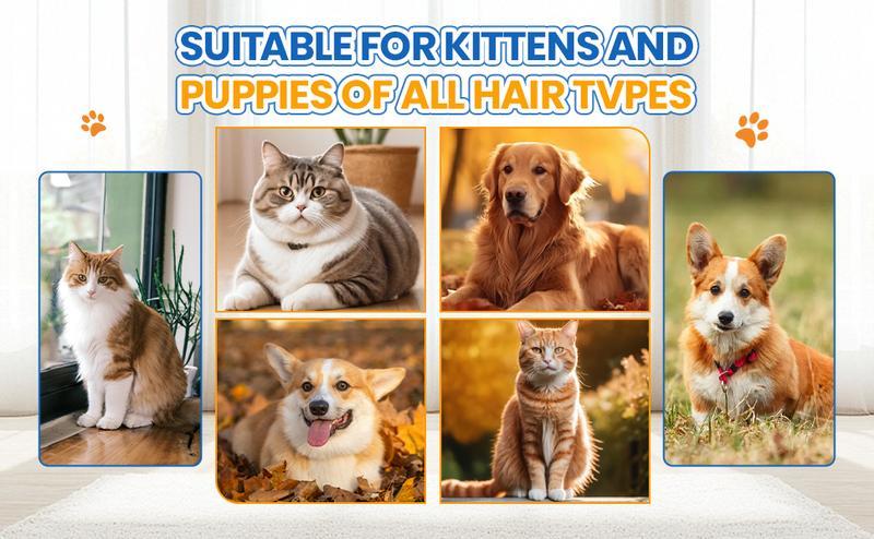 Pet Steam Brush,Cat & Dog Hair Remover, Adjustable Pet Hair Remover,Pet Steamy Mist,Steam Pet Brush for Pet Hair 4-IN-1 Steamy Cat Brush Grooming Comb for Dogs Steam Brush for Cats Remove Flying Fur Steam Advanced Pet Hair Removal Comb pet pal brush