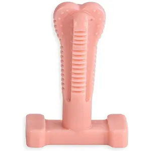 SuperBrush: Dog Teeth Cleaning Brushing Toothbrush Stick - Long Lasting Nylon Pink Peppermint Chew Toy for Oral Care and Dental Health