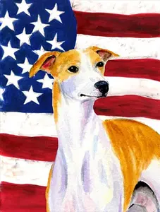 11 x 15 In. Usa American Flag With Whippet Flag, Garden Size