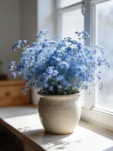 100 Blue Baby’s Breath Flower Seeds – Fast-Growing, Long-Blooming Blue Clusters Ideal for Pots, Bouquets & Outdoor Beds – High Quality Seeds Only