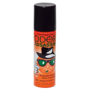 212 MAIN Odor Assassin Scented Aroma Freshener - 2.2oz Aromatic Citrusy Fresh Orange Odor Eliminator, Pack of 24 for Hunting, Outdoor Sports, Aromatic Citrusy Scent