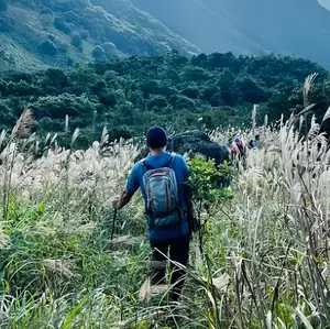 Outdoor Hiking Essential! Multi-FunctionalTelescoping Hiking Poles - Heavy-Duty &Wear-Resistant, Perfect for Hiking & Camping