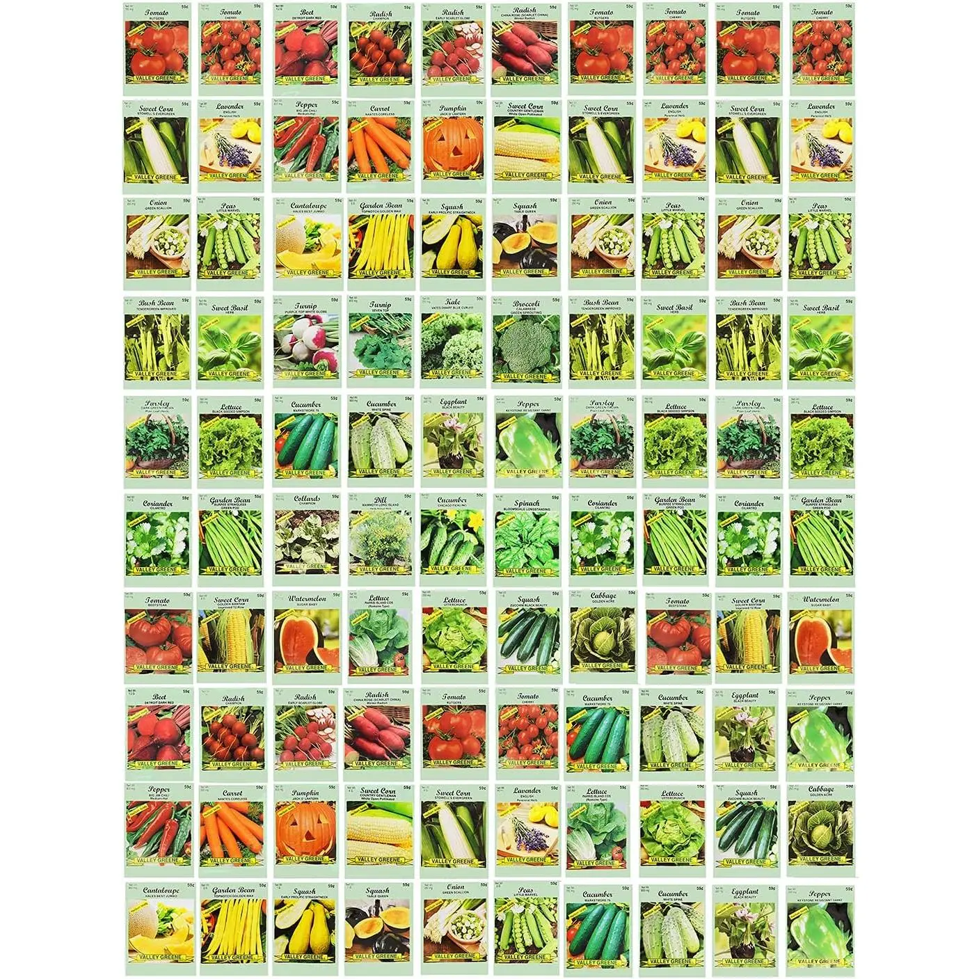 100 Assorted Heirloom Vegetable Seeds 100% Non-GMO (100, Deluxe Assorted Vegetable Seeds)