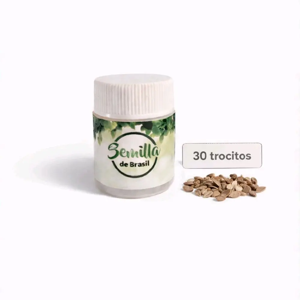 SEMILLA BRASIL